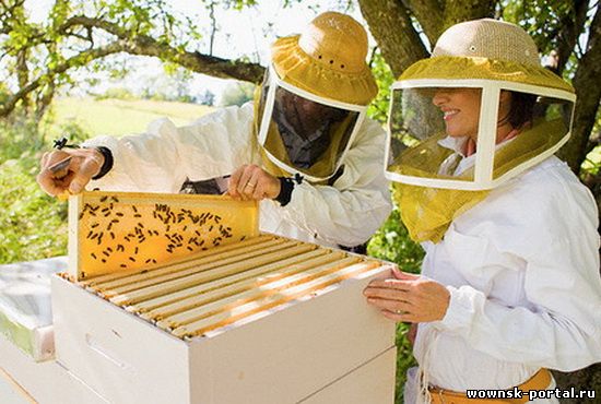 Пчеловодство – это в первую очередь польза!