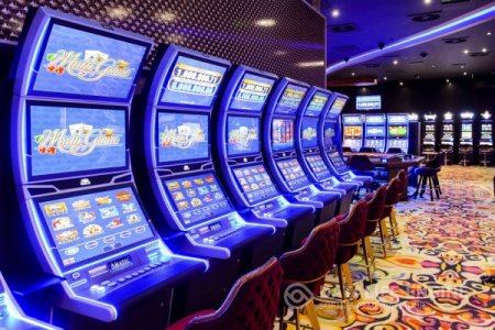 Что стоит знать о казино Rox и азартных развлечениях